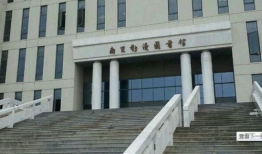 图书馆动漫,图书馆中的奇幻之旅